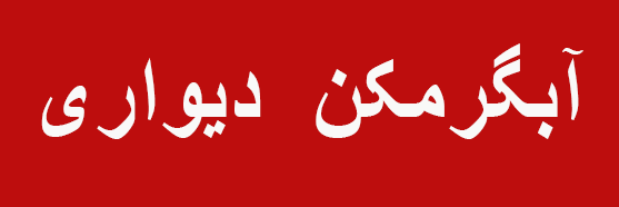 آبگرمکن دیواری بوتان